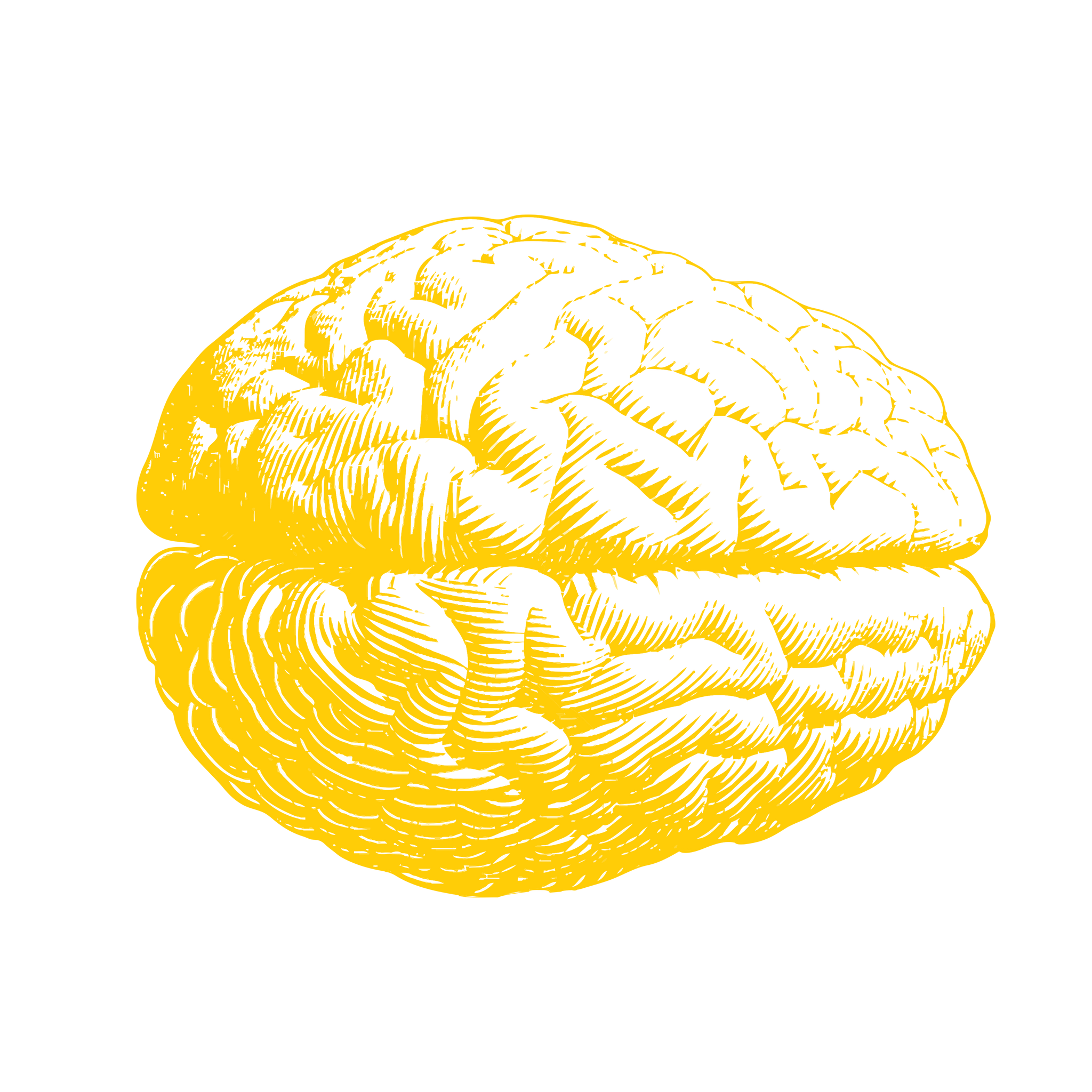 Brain_yellow.png__PID:775d11a1-988e-4b90-a01a-c6fe2385d6ba